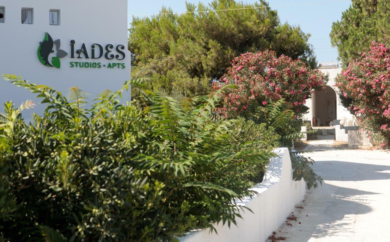 Iades Studios & Apartments Agia Anna  エクステリア 写真